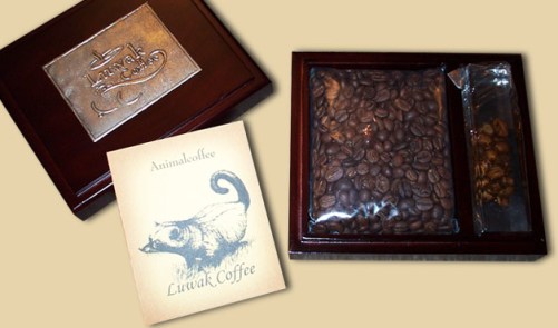kopi-luwak-5